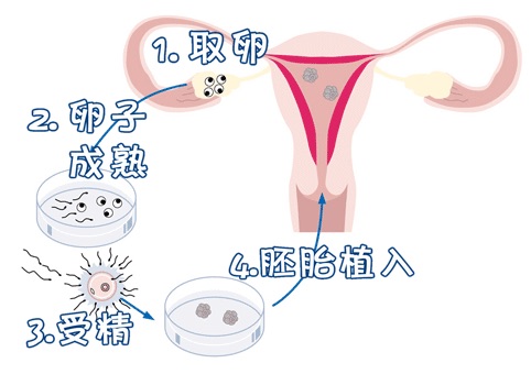 素竹生殖医学中心
